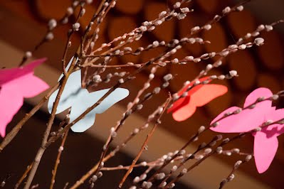 https://goo.gl/photos/MEAM88MJphtMS3A37